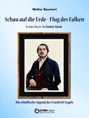 cover image of Schau auf die Erde – Der Flug des Falken. Erstes Buch